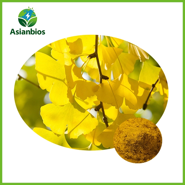 Ginkgo Biloba Leaf Extract Powder